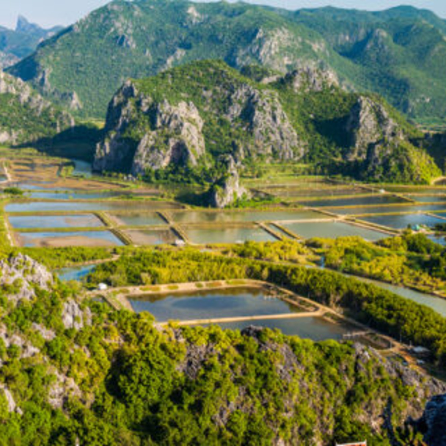 Limestone peaks rising over the wetlands of Sam Roi Yot National Park