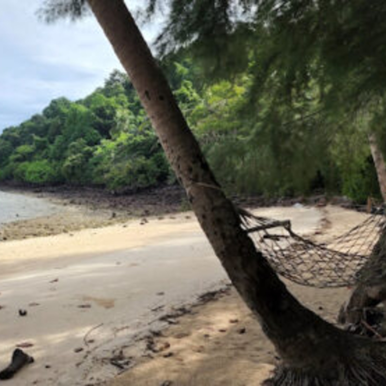 A hammock strung between trees on a quiet Koh Talu beach near Lyndale Lodge