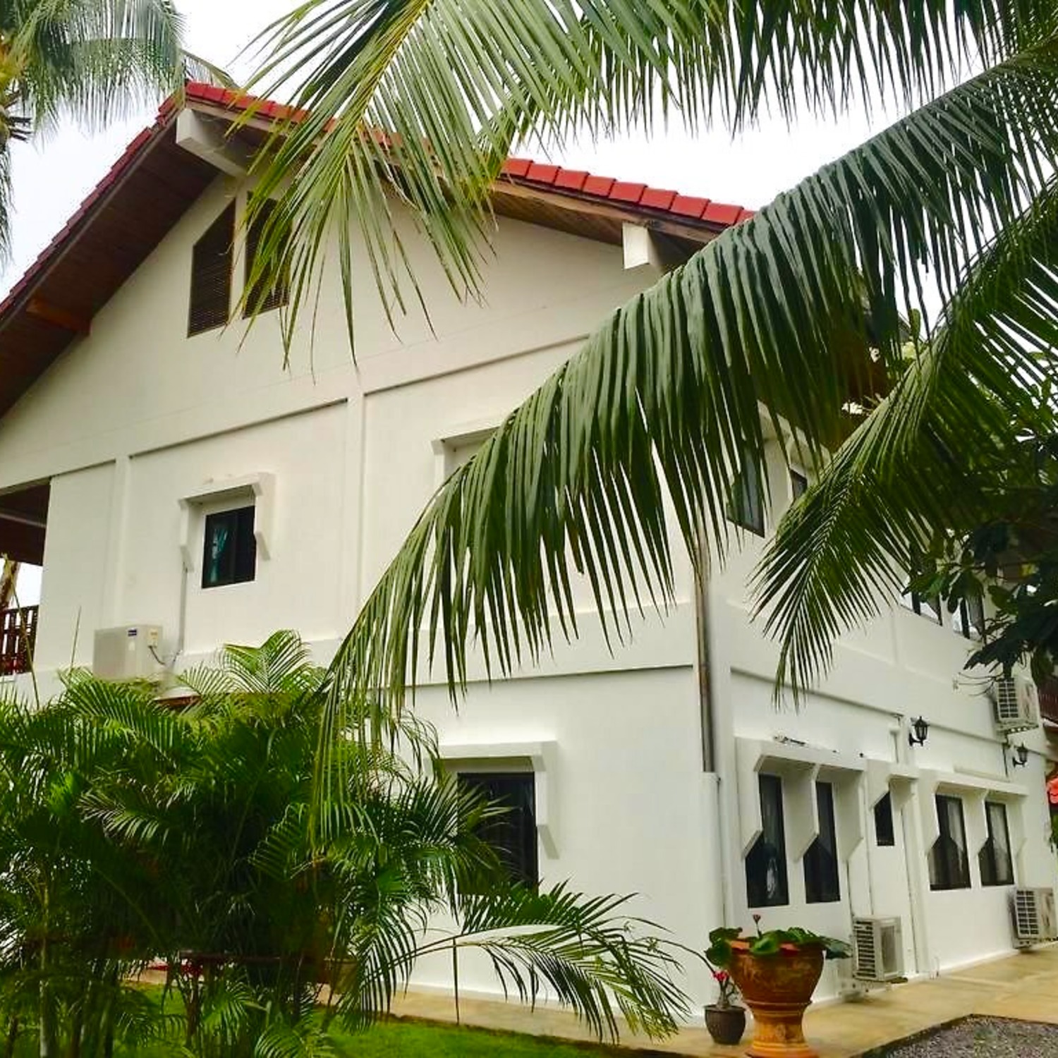Among the palms — Lyndale Lodge