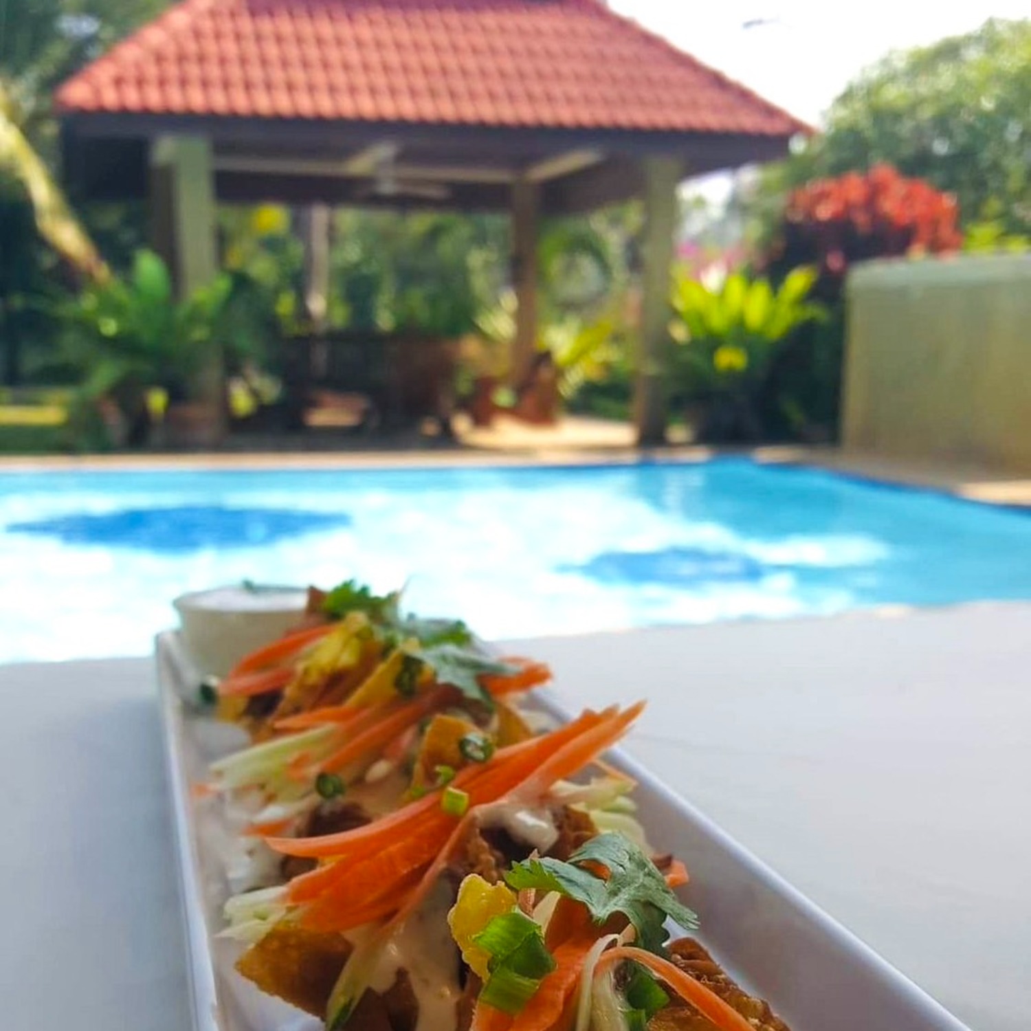Pool and tropical greenery — Lyndale Lodge