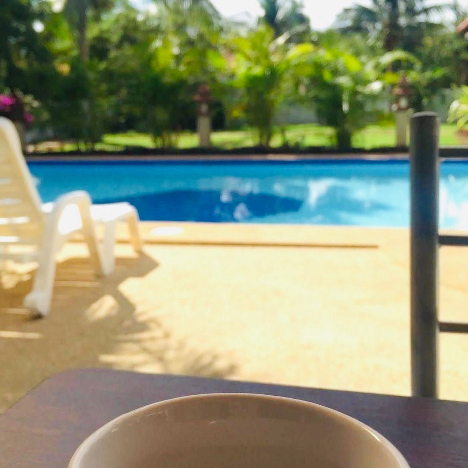 A sun lounger beside the outdoor pool framed by tropical garden at Lyndale Lodge