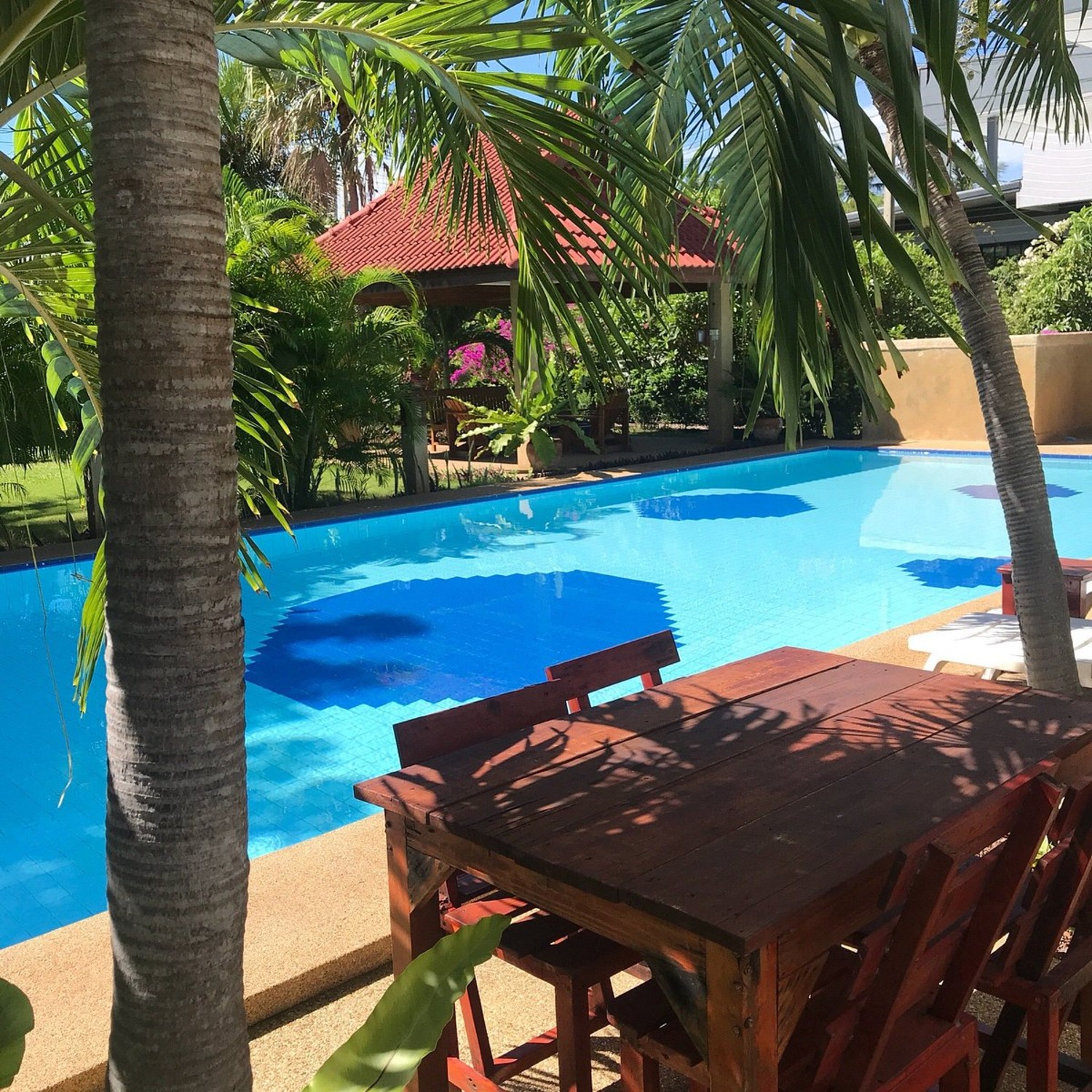 Lyndale Lodge outdoor swimming pool framed by palm trees, with a shaded sala pavilion and a wooden poolside table